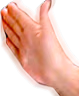 catch emote
