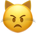 cat_angry emote