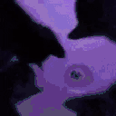 catParty animated emote