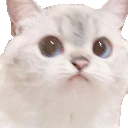 NanaStare emote