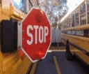 schoolbus_stoparm emote