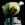 cheeks emote