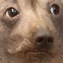 creatureConcerned emote