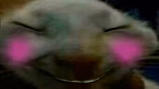 xddshy emote