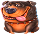 doghouse emote