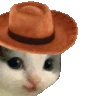 MMEOWDY emote
