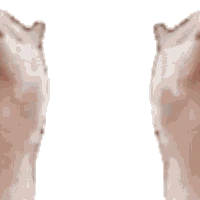 Cat_Kiss emoji