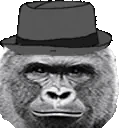 HarambeMLADY emote