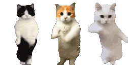 CatTime emoji