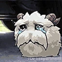 PoroRoll emote