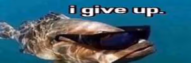 fish3 emote
