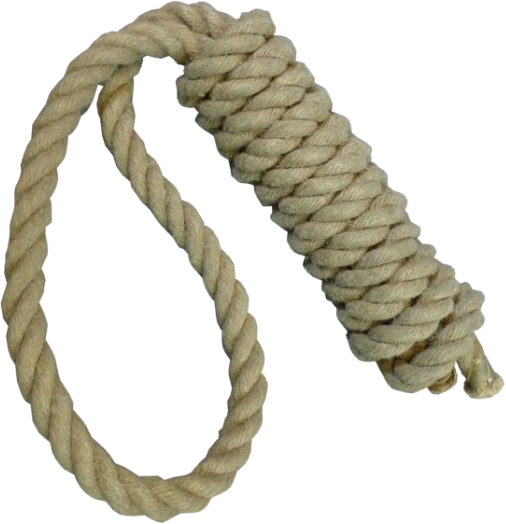 noose emote