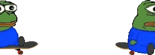 bruhSkate emote