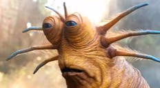 paul emote