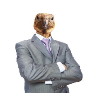torkusin avatar