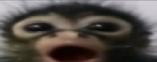 00 emote