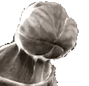 DemoPls emote