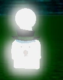 Snowmanfruitcatpiece emote