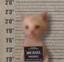 Felon emote