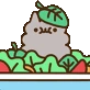 Stormysalad emote