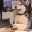 GetThisShitOuttaHere emoji