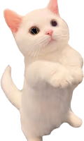 ethan_plead emote
