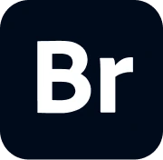Bridge emote