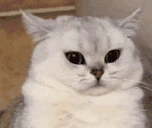 oaur emote