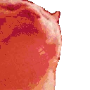 catJAMJAM emote