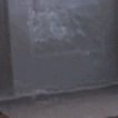 Cat_Arrive emote