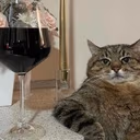 catWine emote