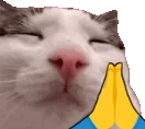 plinkPrayge emote