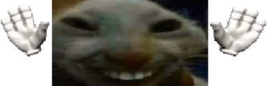 xddcaught emote