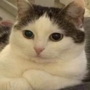 bukhtelka static emote