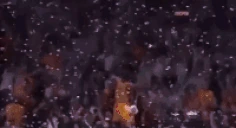 WeCelebrating emote