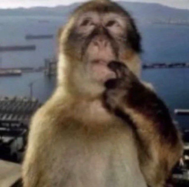 monkeyhuh emote