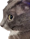 sideeye emote