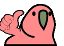 thumbsupParrot emote