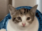 AAAAAA emote