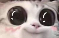 awww emote