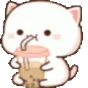 bobacat emote