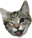 Wink_Cat emoji