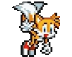 TailsFLYWAVE emote