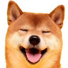 HappyDoge emote