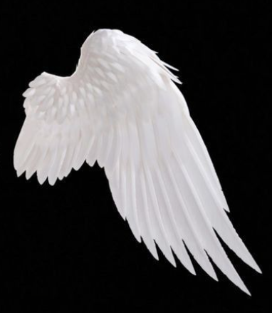 wingR static emote