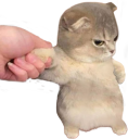 kitterhmph static emote