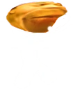 PauseStick static emote