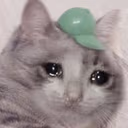 CE_sadcat10 emote