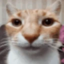 pspstare static emote