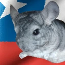 SuperGaston1 emote